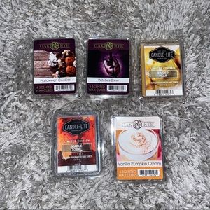 Fall/Halloween wax cube melts